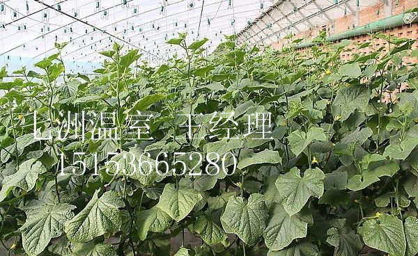 չҵ鿴ϸϢ